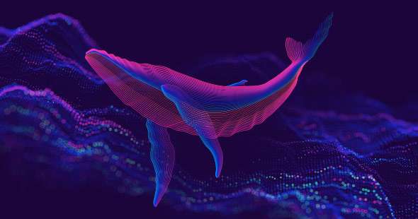 حمله به نهنگ